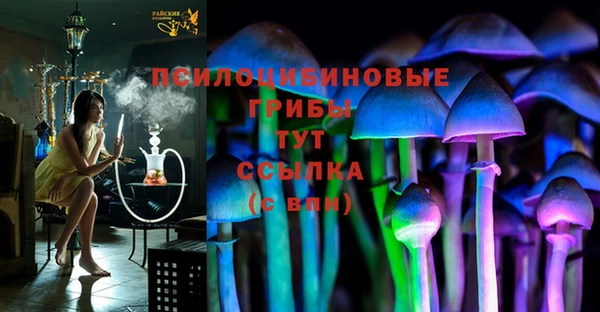 каннабис Майский