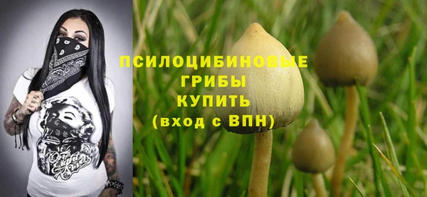 PSILOCYBIN Дмитриев